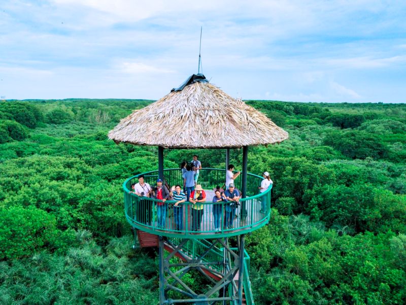 Tang-Bong-Tower-1