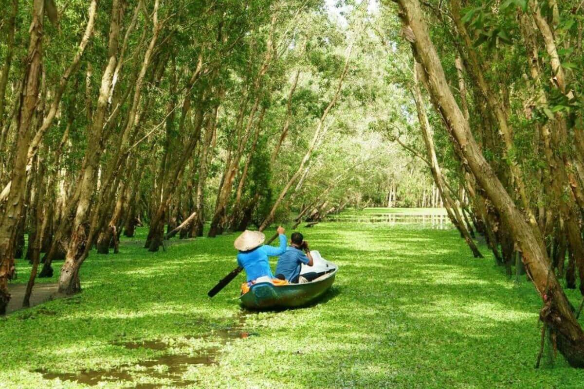 Tra-Su-Forest-1