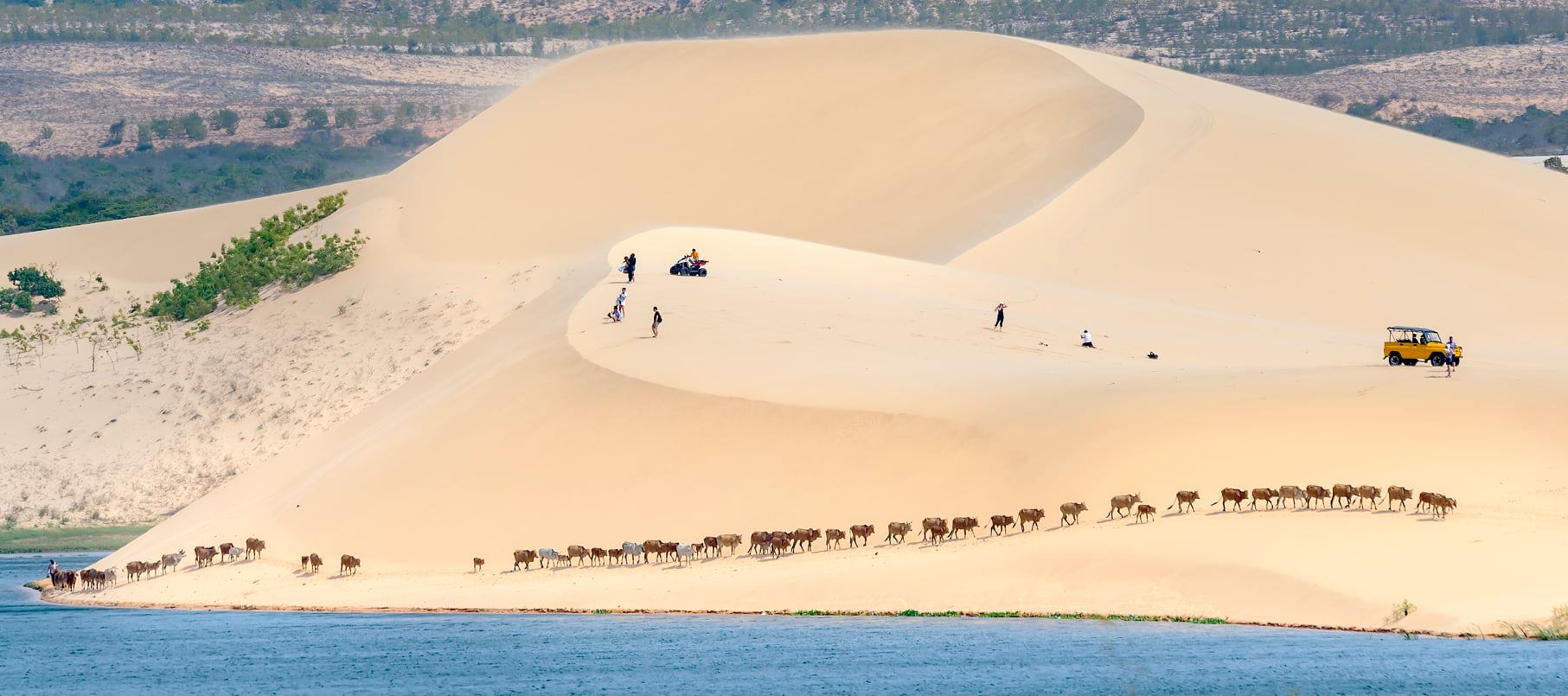 White-sand-dunes White-sand-dunes