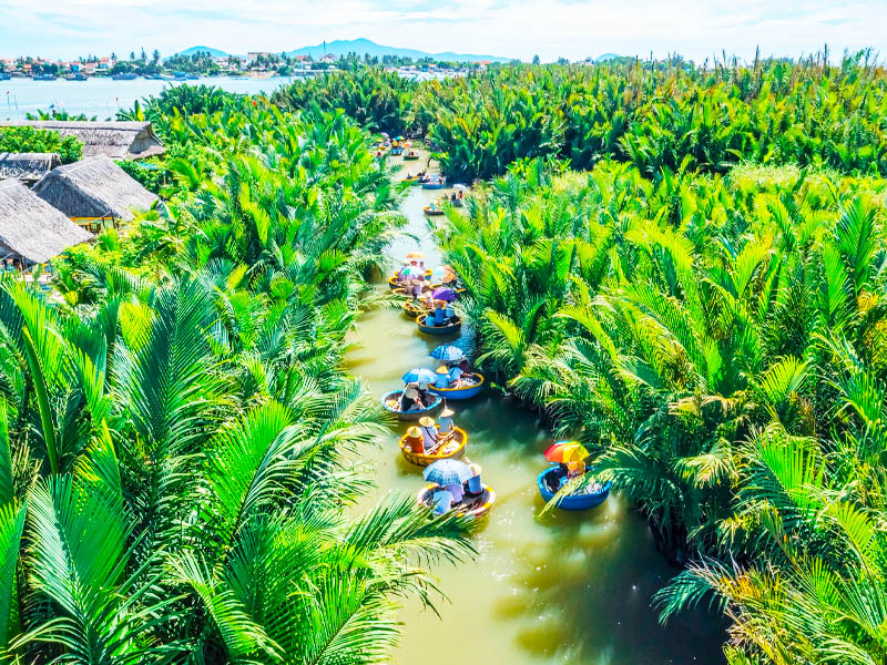 bay-mau-coconut-forest-tour