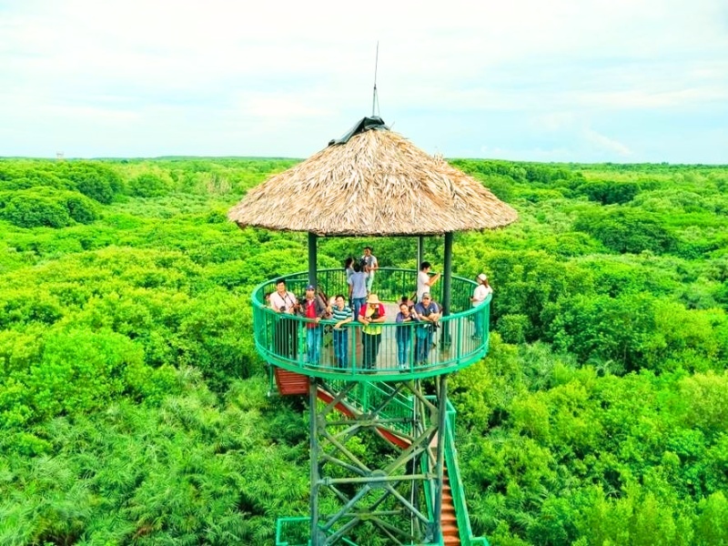 can-gio-mangrove-forest