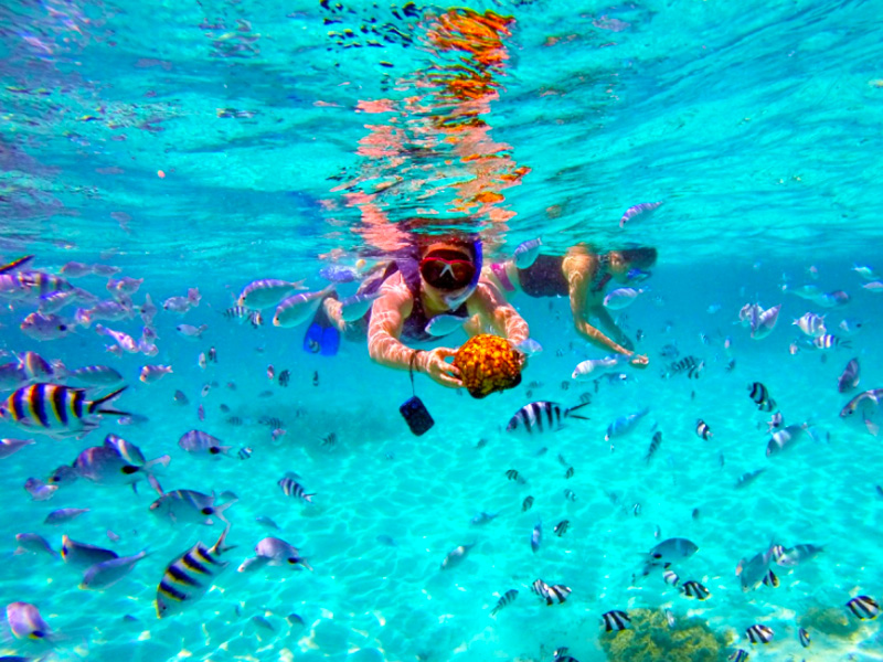 cham-island-tour-snorkeling