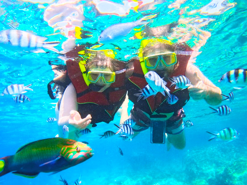 cham-island-tour