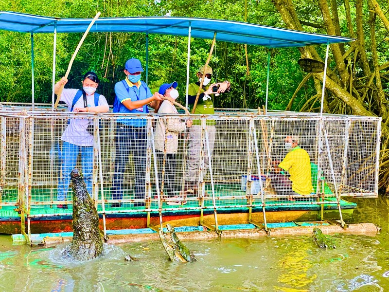 crocodile-reserve