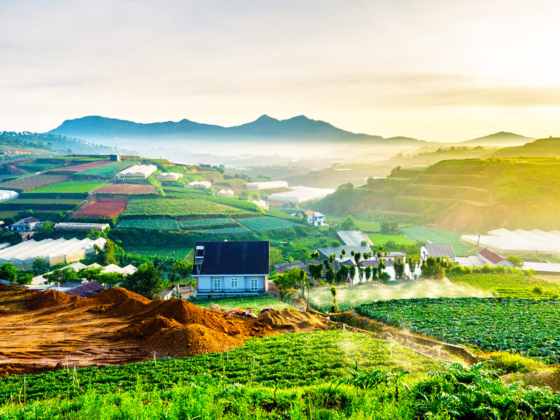 farm-tours