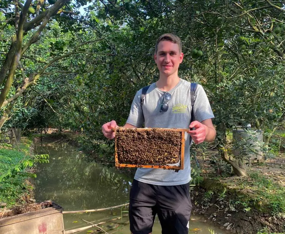 honey-bee-farm
