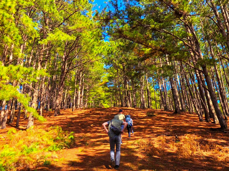langbiang-hiking-tour