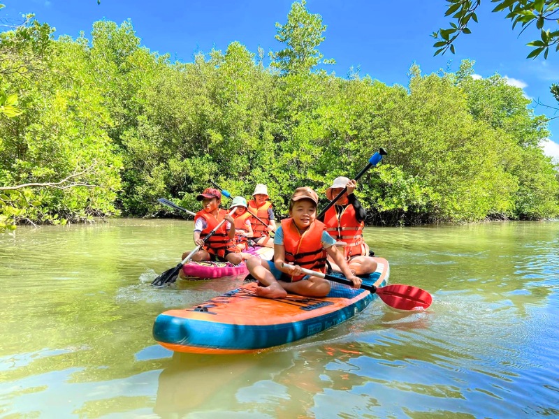 mangrove-boating