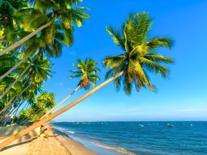 Mui Ne Full Day Tour