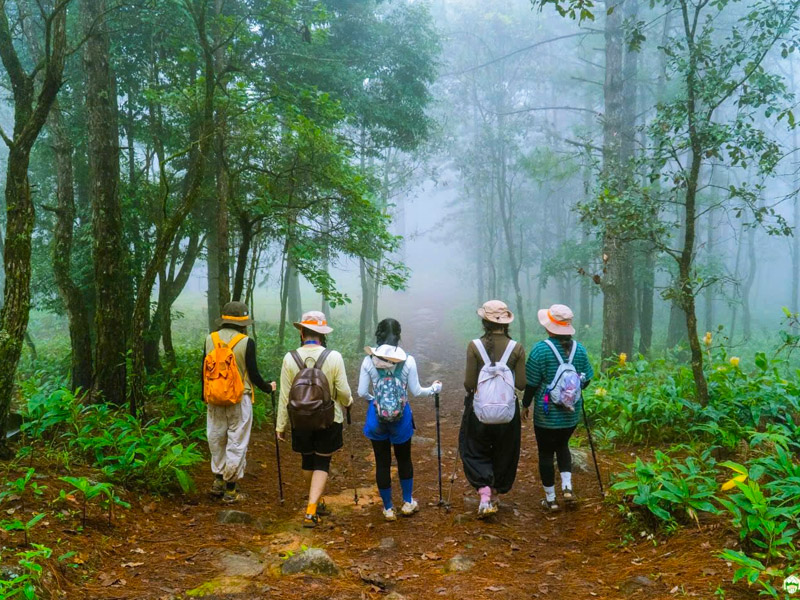 trekking-langbiang-dalat