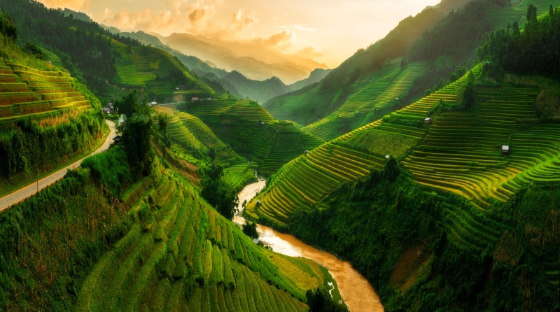 The-Best-Time-to-Visit-Vietnam-Depends-on-Your-Travel-Goals